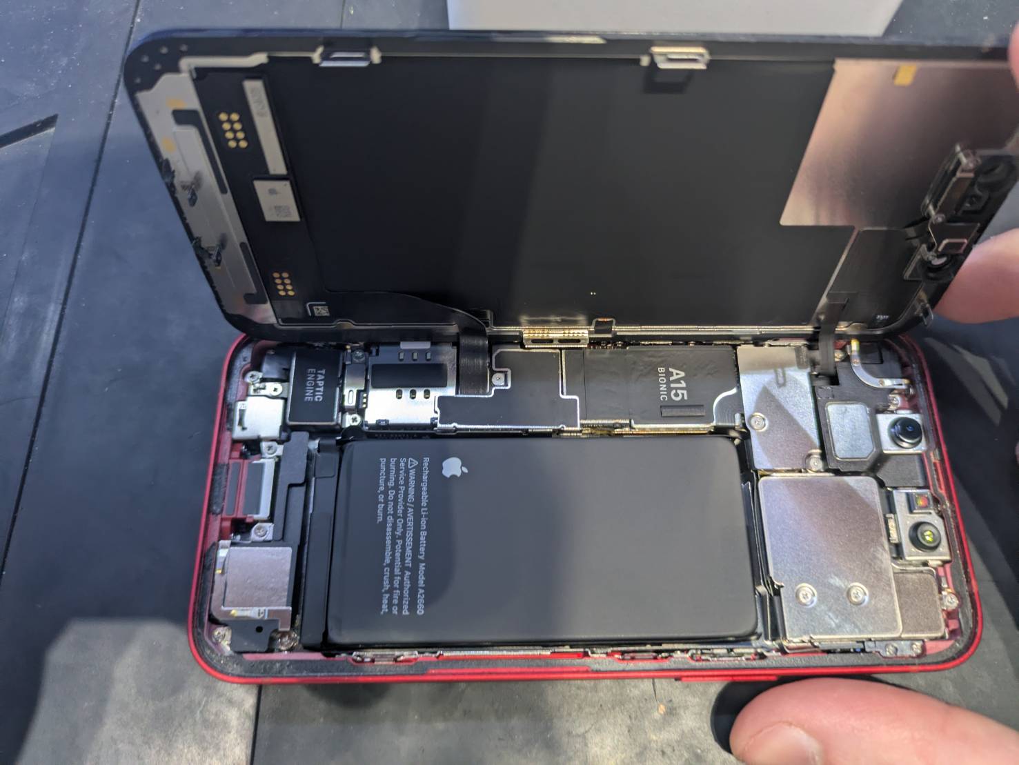 iPhone13 miniの内部構造